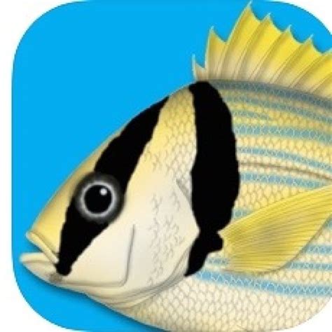 Fish Identification App .